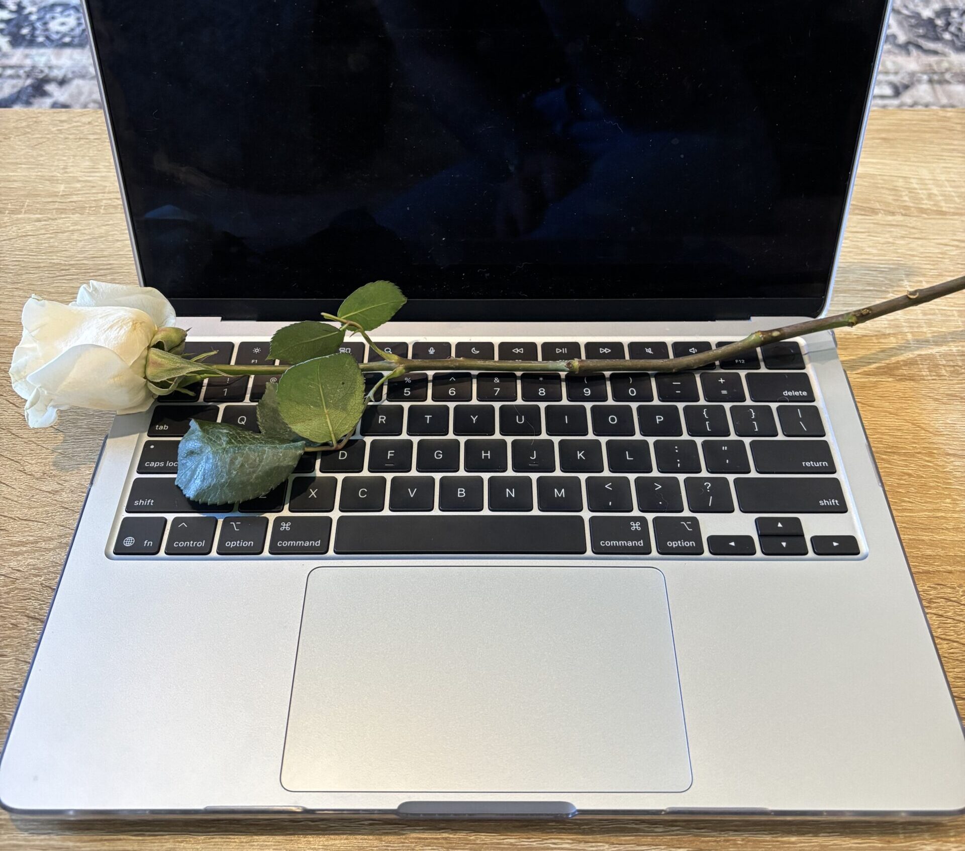 Laptop with a white rose across the keyboard